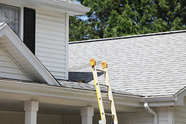 Best Property Management Cleanouts  in East Lake Orient Park, FL